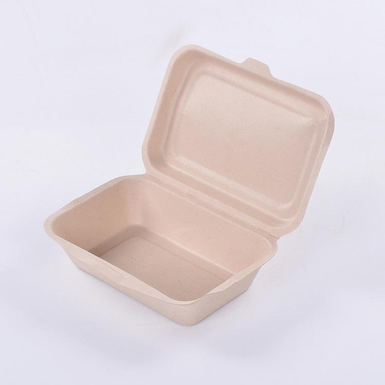 High-brightly-ecofriendly-disposable-sugarcane-bagasse-food (1)
